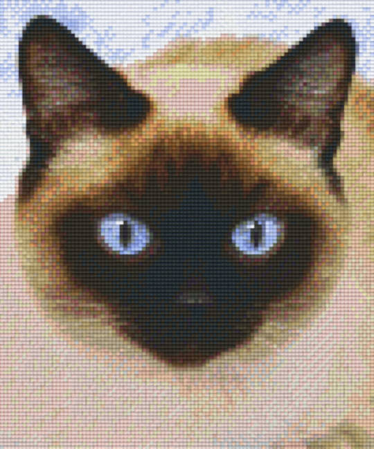 Blue Eyed Cat Six [6] Baseplate PixleHobby Mini-mosaic Art Kits